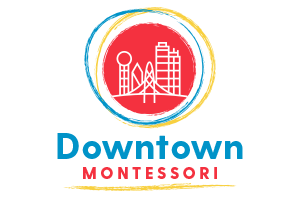 Downtown Montessori at Ida B. Wells Academy  Ida B. Wells Academy   
