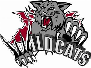 wildcats hockey southwest wildcat south march general facts quick break camp cms tryouts west 11th atom novice 14th peewee dallasisd