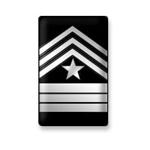 Cadet/Sergeant Major 