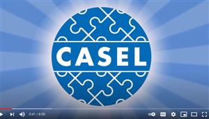 Casel Video